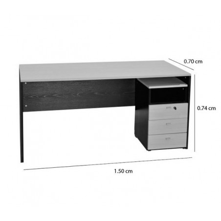 ESCRITORIO CON CAJONERA 1.50M