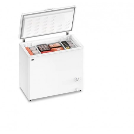 FREEZER GAFA FGHI300B-L INVERTER 280LT