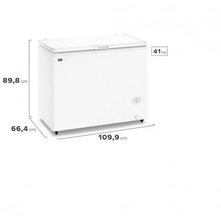 FREEZER GAFA FGHI300B-L INVERTER 280LT