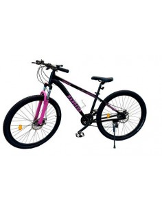 BICI RANDERS CASUS R29