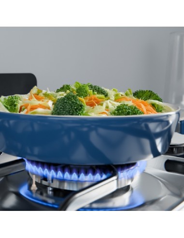 COCINA DREAN MULTIGAS INOXIDABLE CON ENCENDIDO...