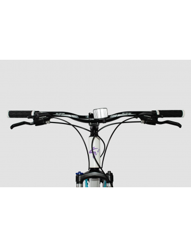BICI SLP 10 PRO LADY 2025 R29
