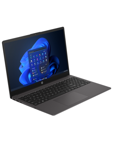 NOTEBOOK HP 250 G10 CORE i3-1315U 8+256GB 15''