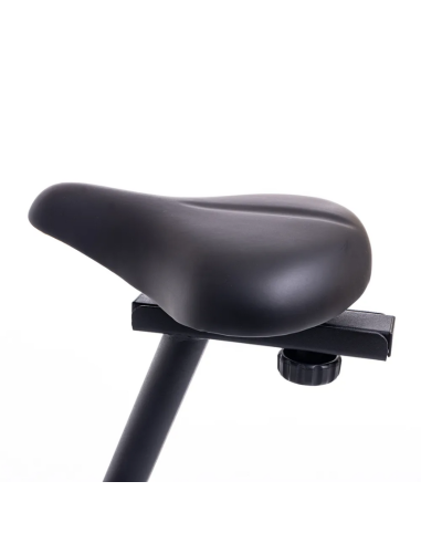 BICICLETA MAGNÉTICA RANDERS ARG-456