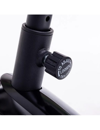 BICICLETA MAGNÉTICA RANDERS ARG-456