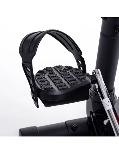 BICICLETA MAGNÉTICA RANDERS ARG-456