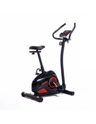 BICICLETA MAGNÉTICA RANDERS ARG-456