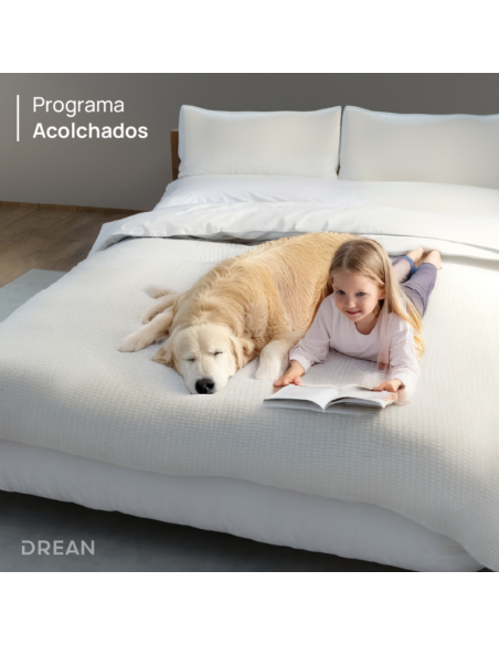 LAVASECARROPAS DREAN LSCDR1208SG0 ECOINVERTER 12KG