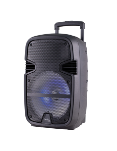 PARLANTE KANJI HARRISON ACID PLUS BLACK BODY SP-KJA21A