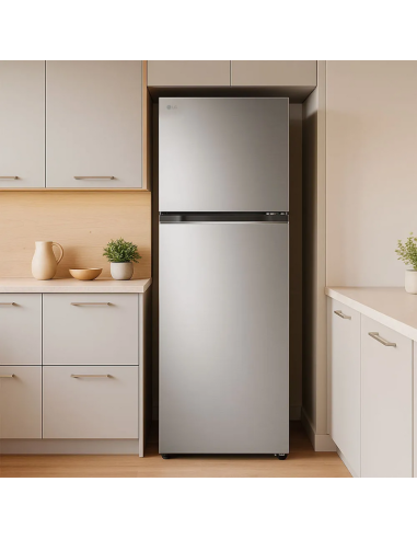 HELADERA LG VT34BPY NF DOOR COOLING SILVER 360LT