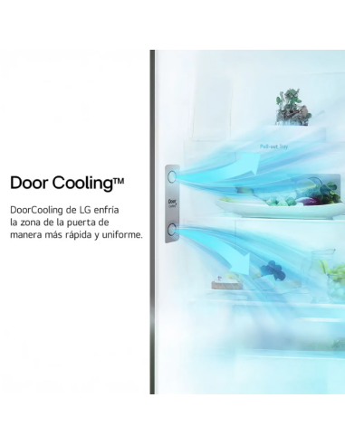 HELADERA LG VT34BPY NF DOOR COOLING SILVER 360LT