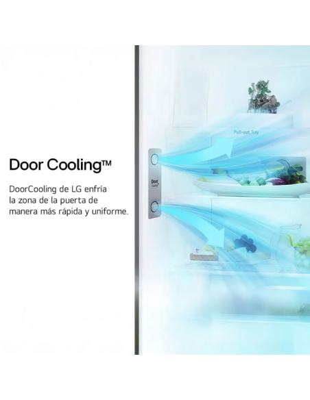 HELADERA LG VT34BPY NF DOOR COOLING SILVER 360LT