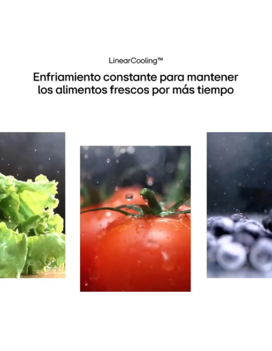 HELADERA LG VT34BPY NF DOOR COOLING SILVER 360LT