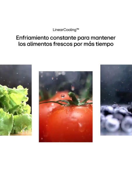 HELADERA LG VT34BPY NF DOOR COOLING SILVER 360LT