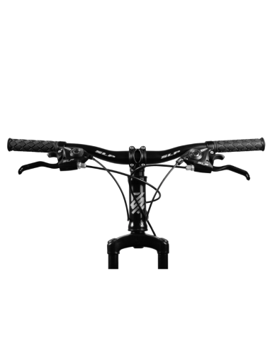 BICI SLP MTB 5 PRO R24
