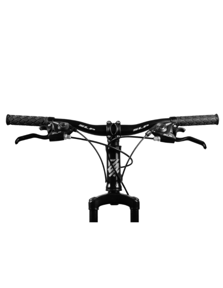 BICI SLP MTB 5 PRO R24