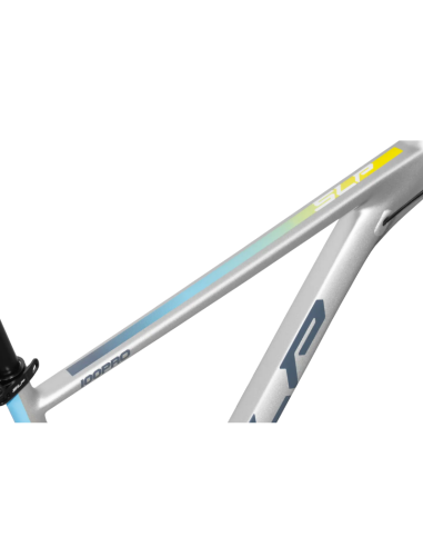 BICI SLP 100 PRO ALUMINIO R29 2025 GRIS