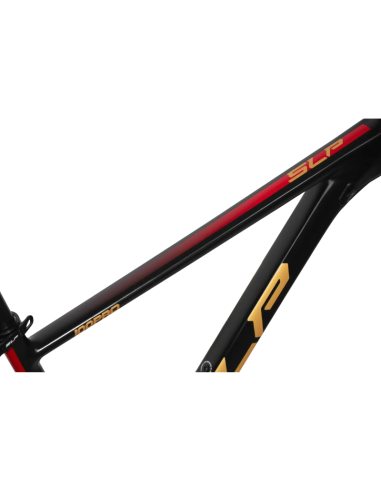 BICI SLP 100 PRO ALUMINIO R29 2025 NEGRO