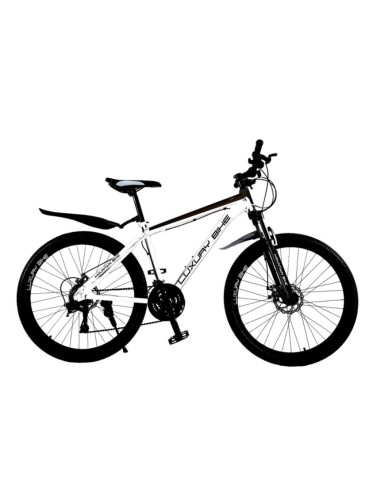BICICLETA LUXURY BIKE ALUMINIO RAYOS R29
