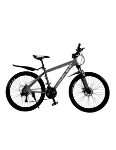 BICICLETA LUXURY BIKE ALUMINIO RAYOS R29