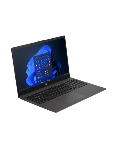 NOTEBOOK HP 250 G10 CORE i3-N305 WINDOWS11 8GB...
