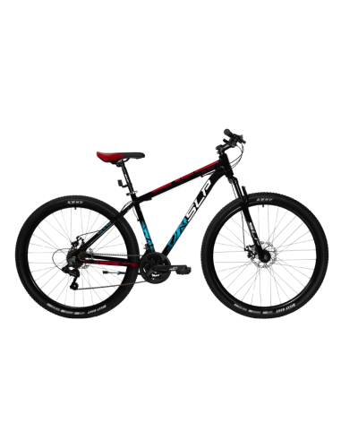 BICI SLP 10 PRO 2025 R29 NEGRA CON ROJO