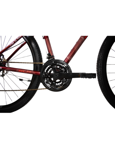 BICI SLP 25 PRO LADY 2025 R29