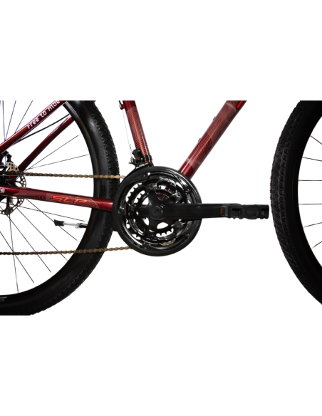 BICI SLP 25 PRO LADY 2025 R29