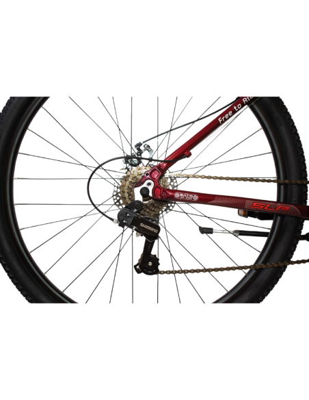 BICI SLP 25 PRO LADY 2025 R29