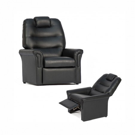 POLTRONA COLOR LIVING DIVA G4 ECOCUERO