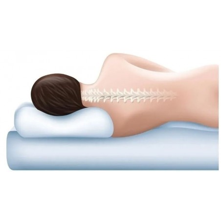 ALMOHADA NATIVA TOUCH CERVICAL 70X12X35