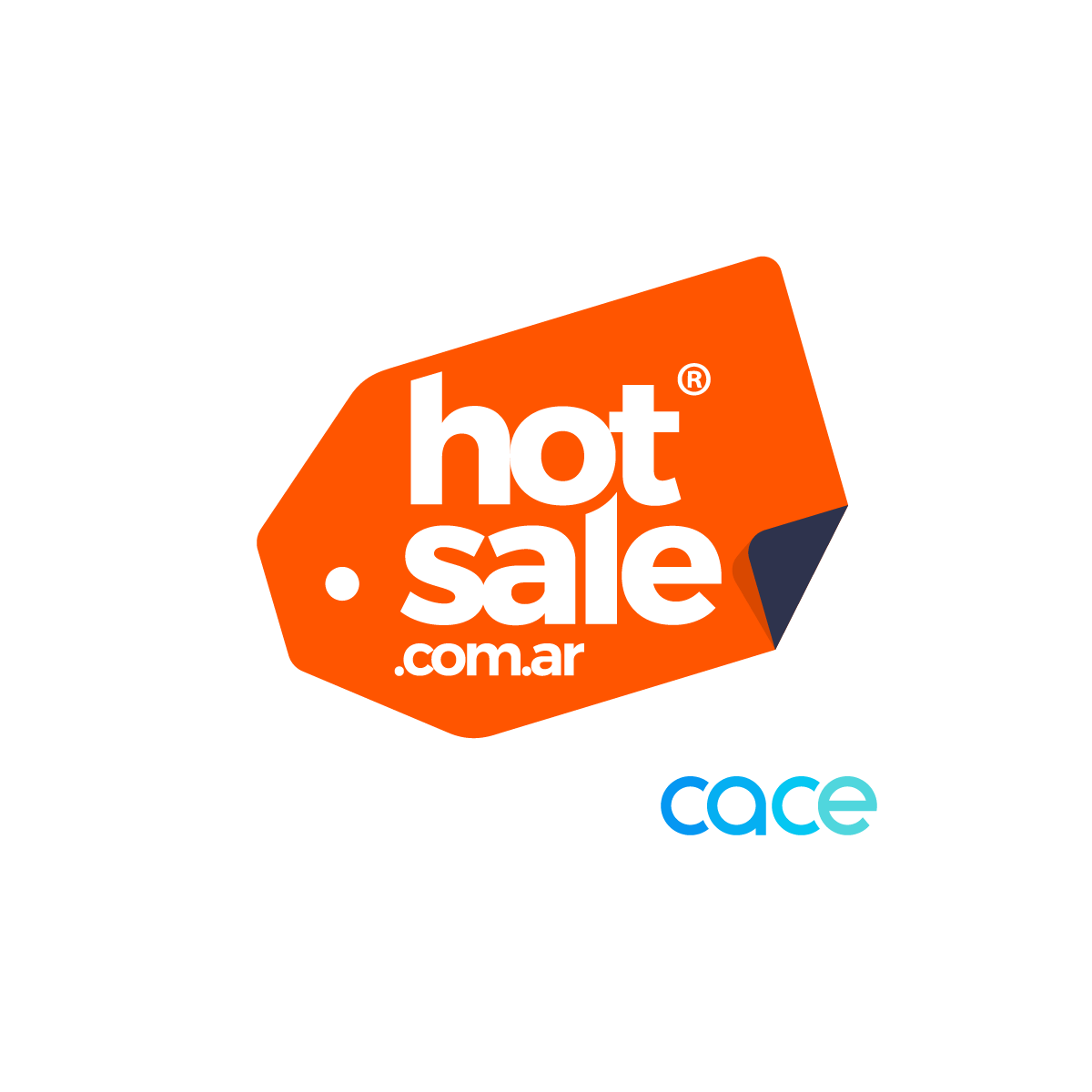 Logo Hot Sale CACE 2024-02.png